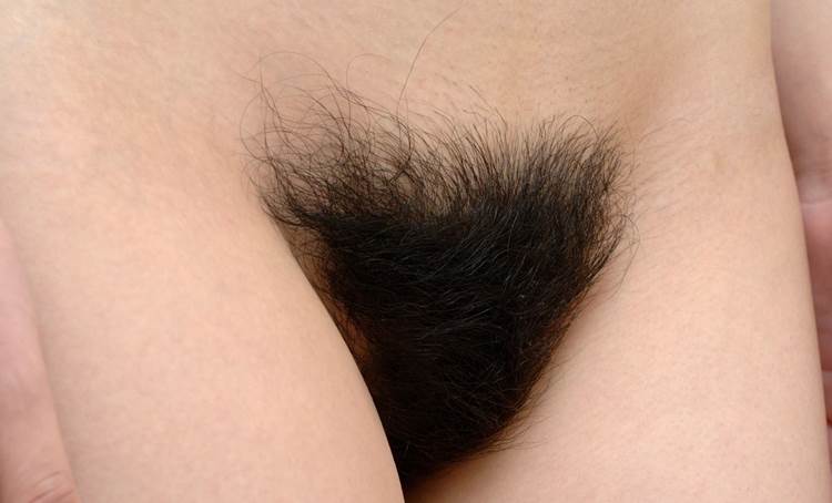 マン毛_剛毛_エロ画像16