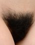【マン毛エロ画像】毛深い剛毛過ぎて少し臭いもキツそうな下半身にビッシリとマン毛が生えた女性の画像ｗｗ
